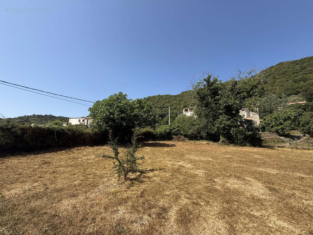 Terrain à SERRA-DI-FIUMORBO