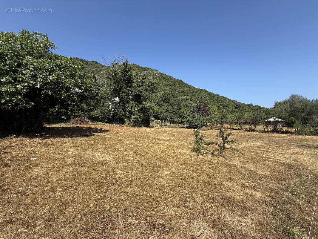 Terrain à SERRA-DI-FIUMORBO