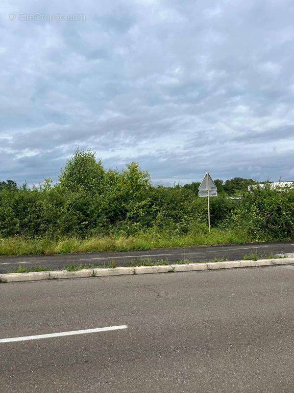 Terrain à SERMAMAGNY