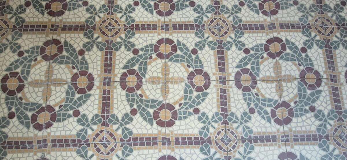 Maison à SAINT-JULIEN-DE-PEYROLAS