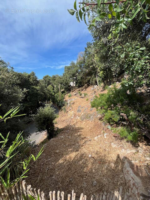 Terrain à TOURRETTES-SUR-LOUP