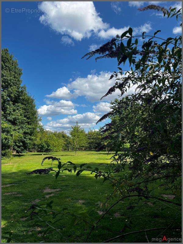 Maison à BERLAIMONT