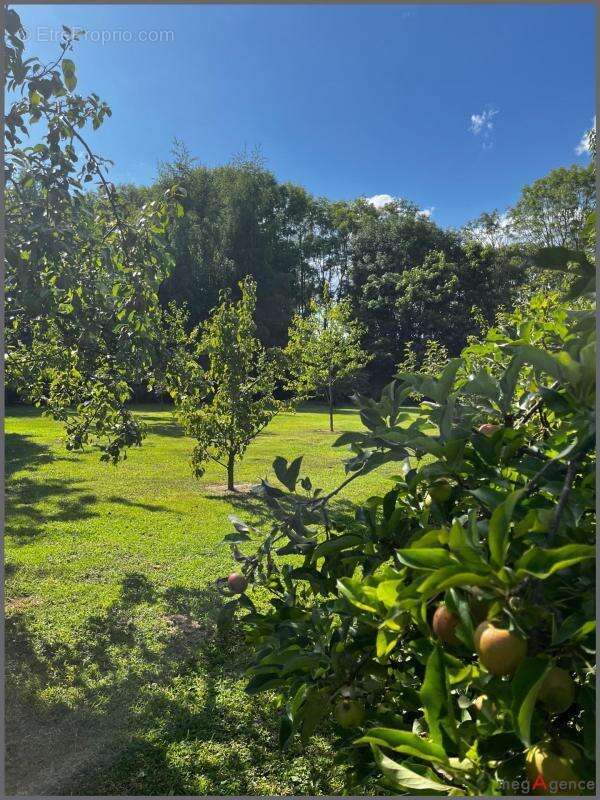 Maison à BERLAIMONT