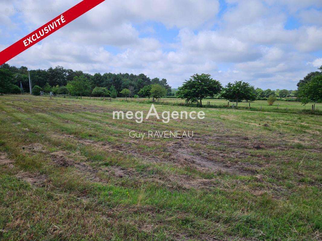 Maison à LONGUE-JUMELLES