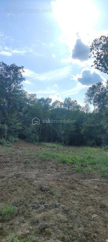 Terrain à MONCLAR-DE-QUERCY