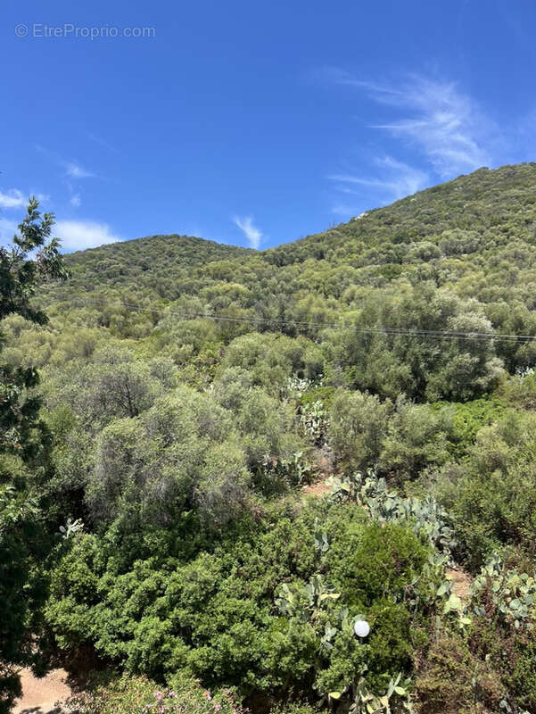 Appartement à AJACCIO