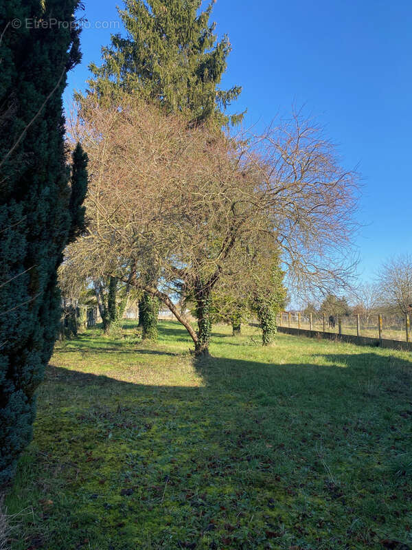 Maison à BONNY-SUR-LOIRE
