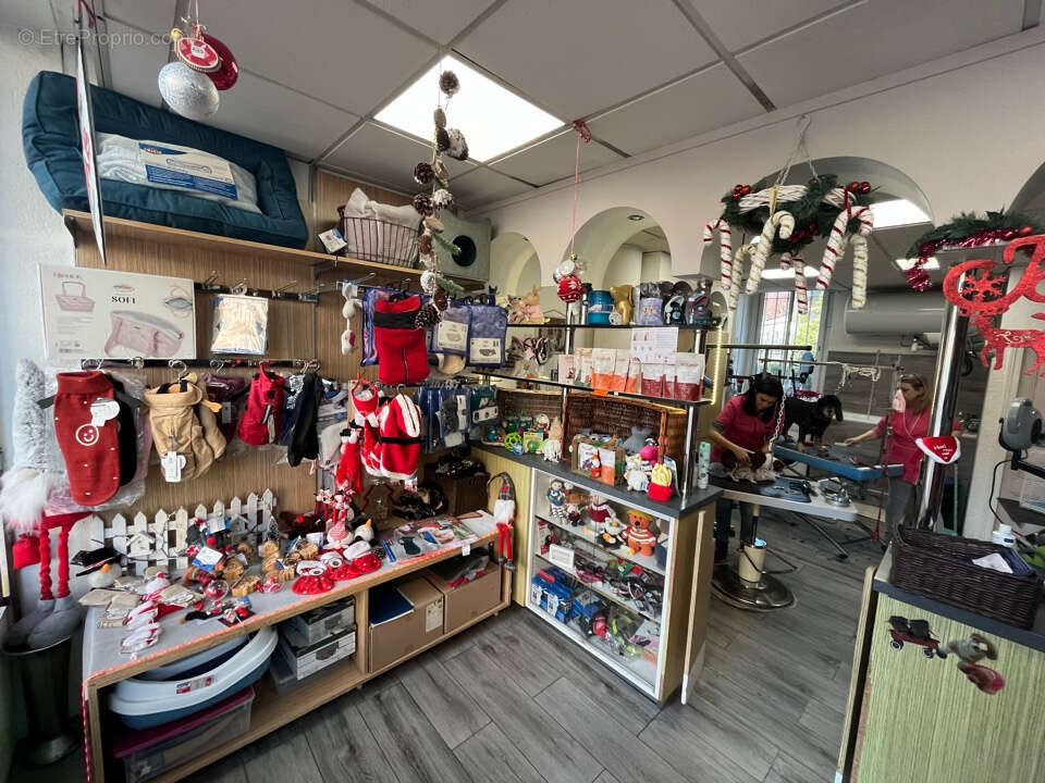 Commerce à LA TRINITE