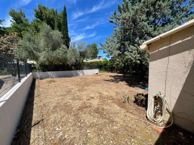 Terrain à SAINT-ANDRE-DE-SANGONIS