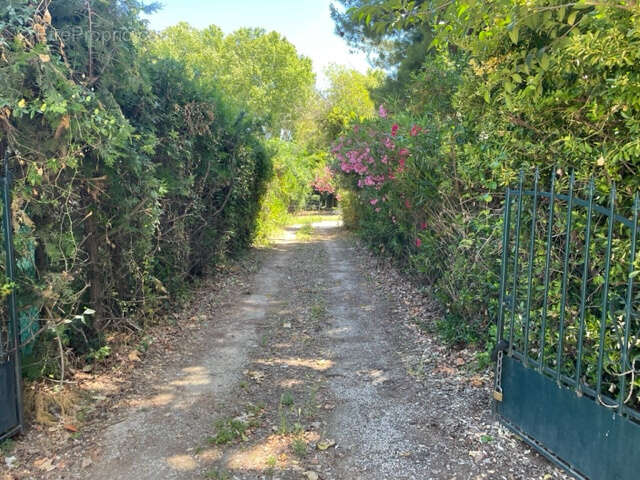 Terrain à SAINT-ANDRE-DE-SANGONIS