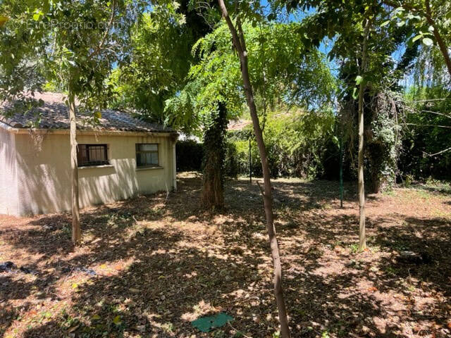 Terrain à SAINT-ANDRE-DE-SANGONIS