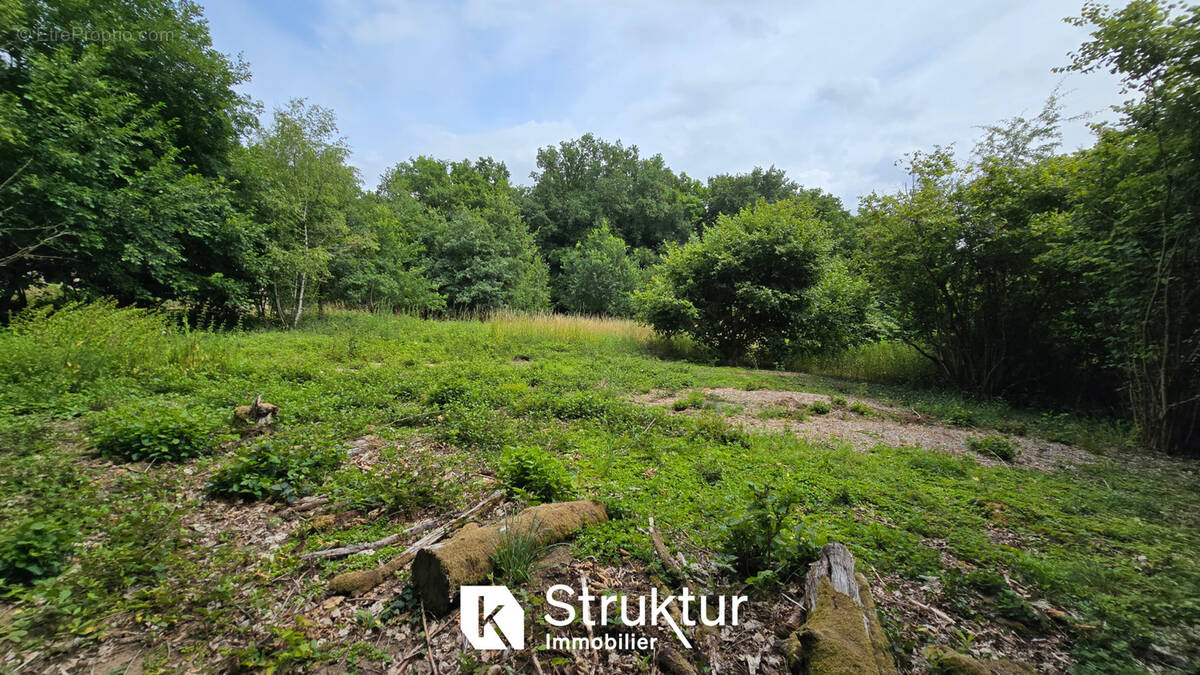 Terrain à SAINT-HUBERT