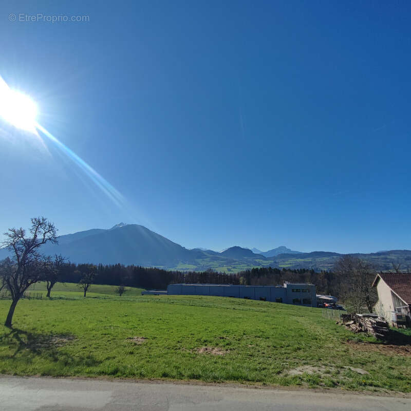 Terrain à VIUZ-EN-SALLAZ