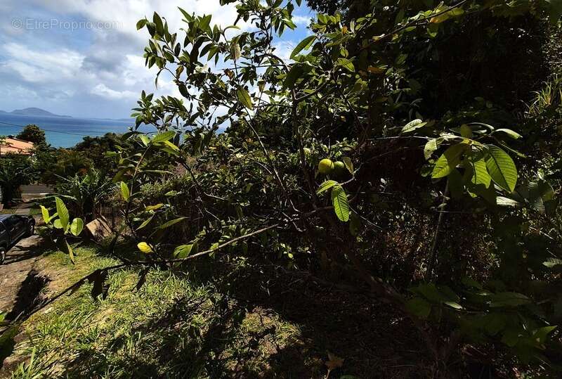 Maison à TROIS-RIVIERES