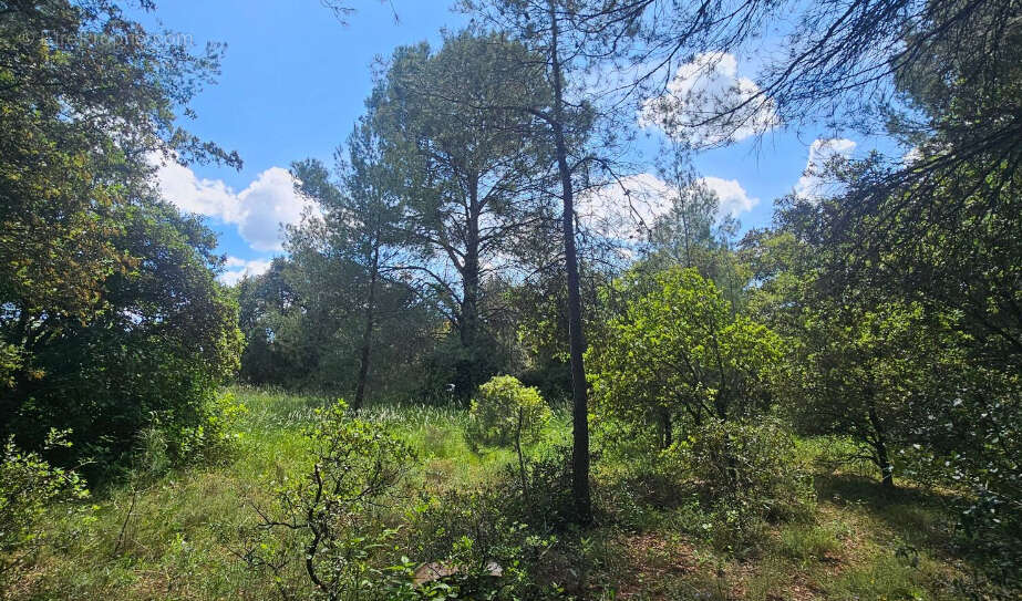 Terrain à LAVAL-PRADEL