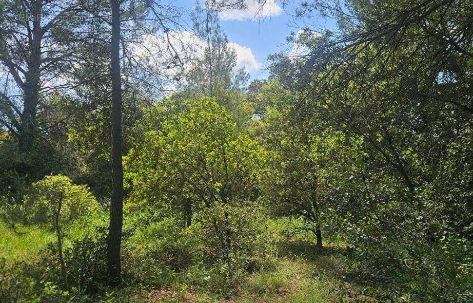 Terrain à LAVAL-PRADEL