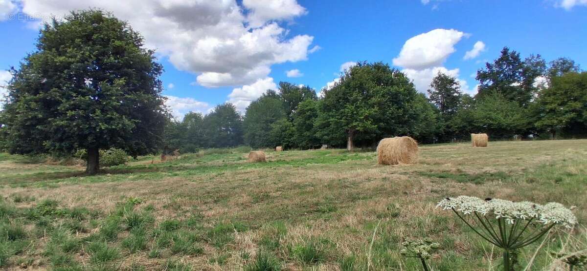 Maison à LE MELE-SUR-SARTHE