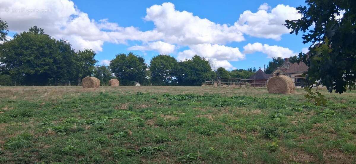Maison à LE MELE-SUR-SARTHE