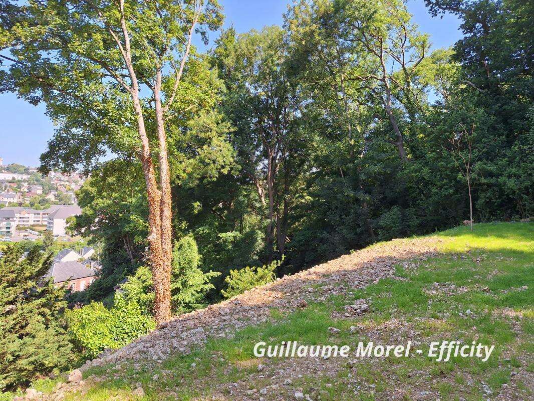 Terrain à MONTIVILLIERS