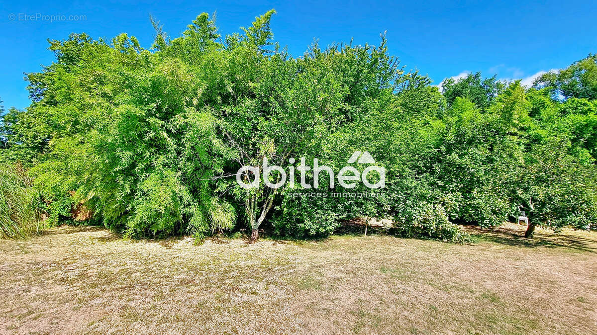 Maison à CHENAC-SAINT-SEURIN-D&#039;UZET