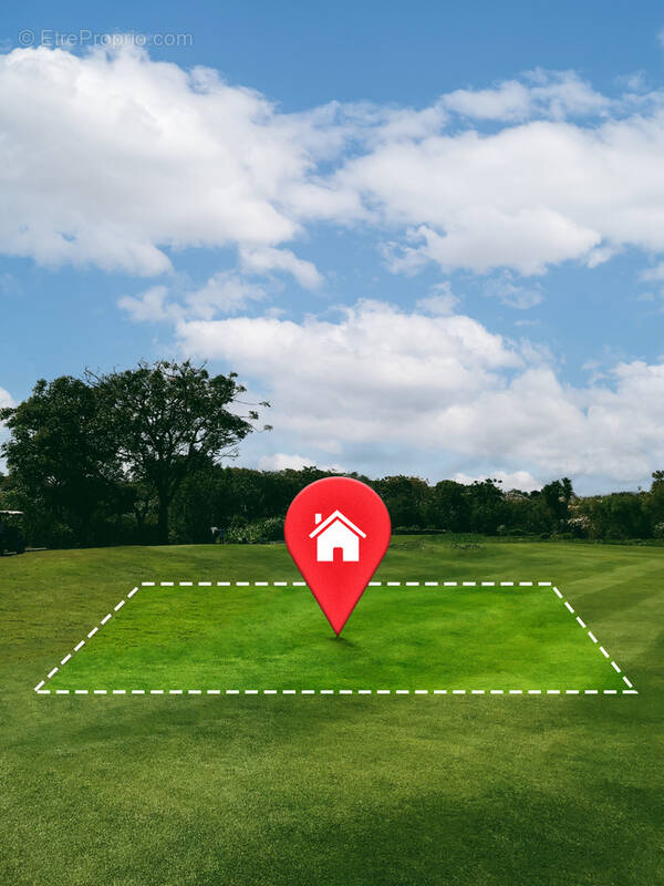 Terrain à PALAZINGES