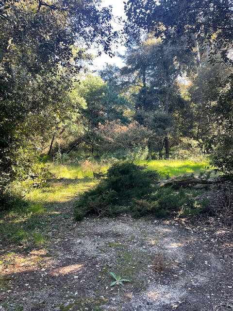 Maison à NOIRMOUTIER-EN-L&#039;ILE