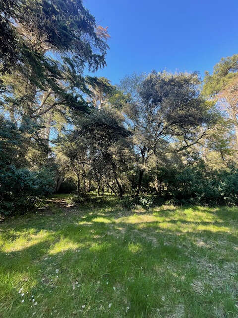 Maison à NOIRMOUTIER-EN-L&#039;ILE