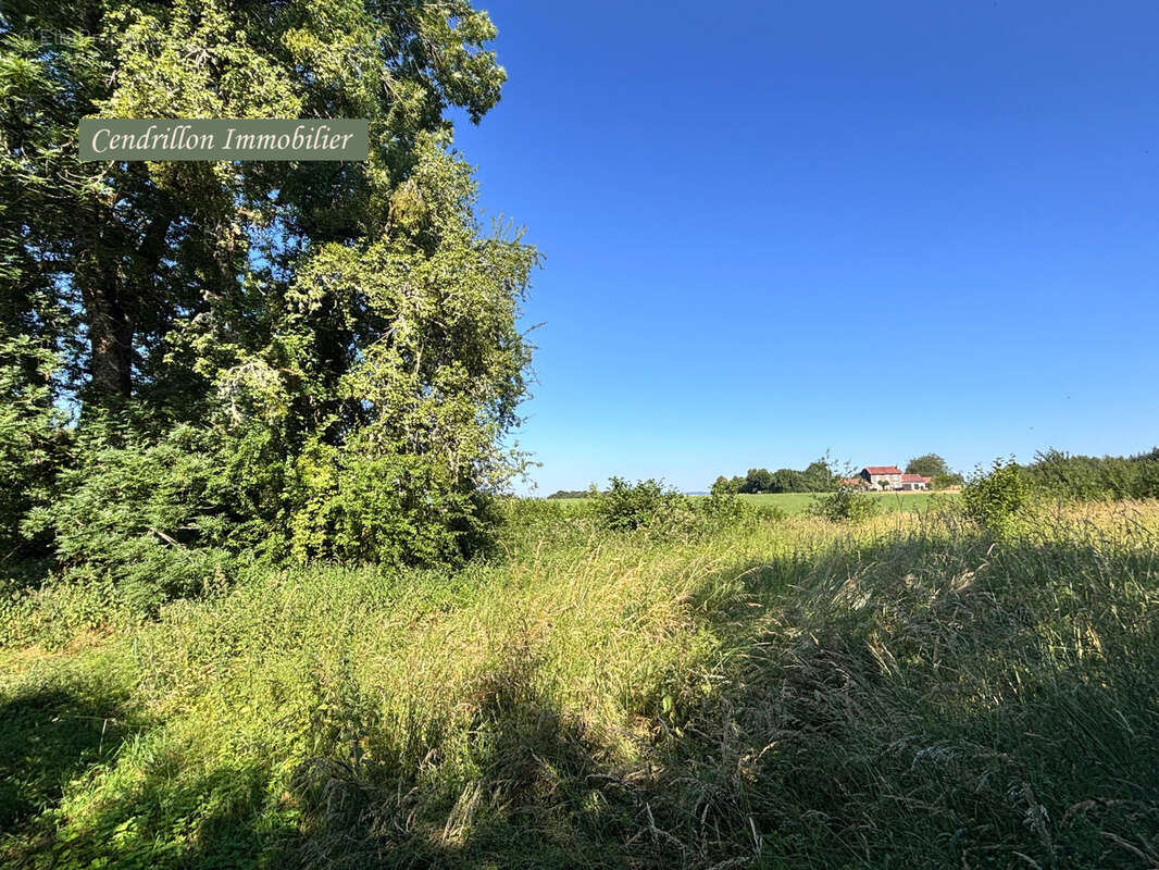 Maison à SAINT-PIERRE-CHERIGNAT