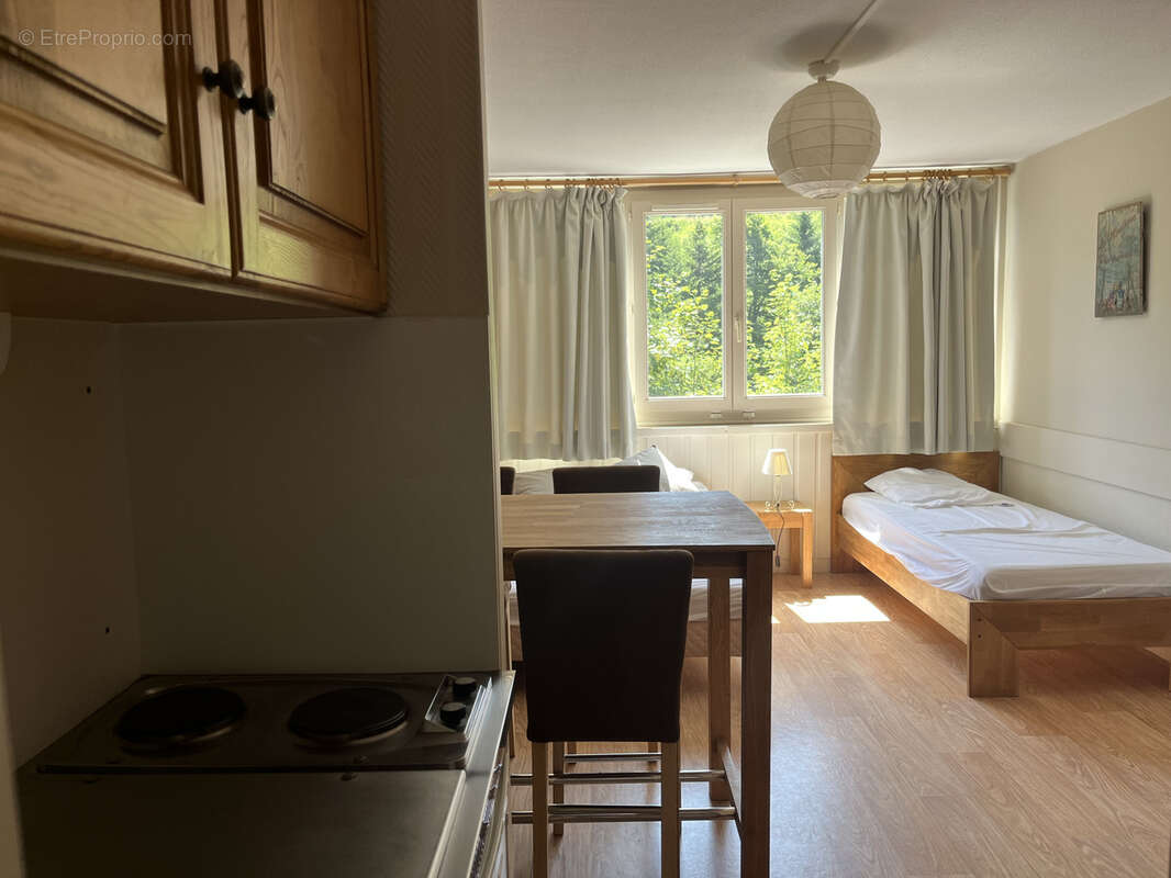 Appartement à LAVEISSIERE