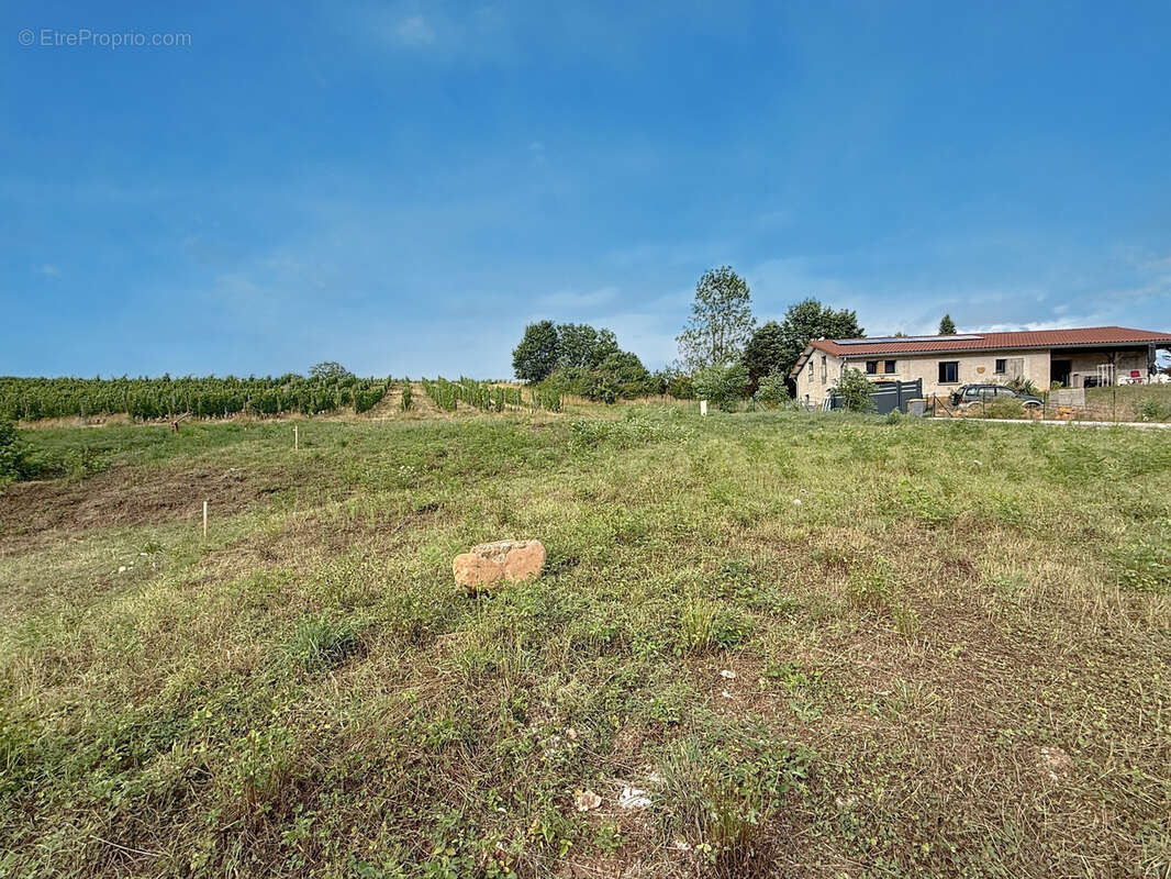 Terrain à OINGT