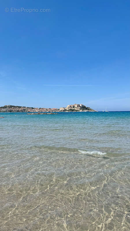 Appartement à CALVI