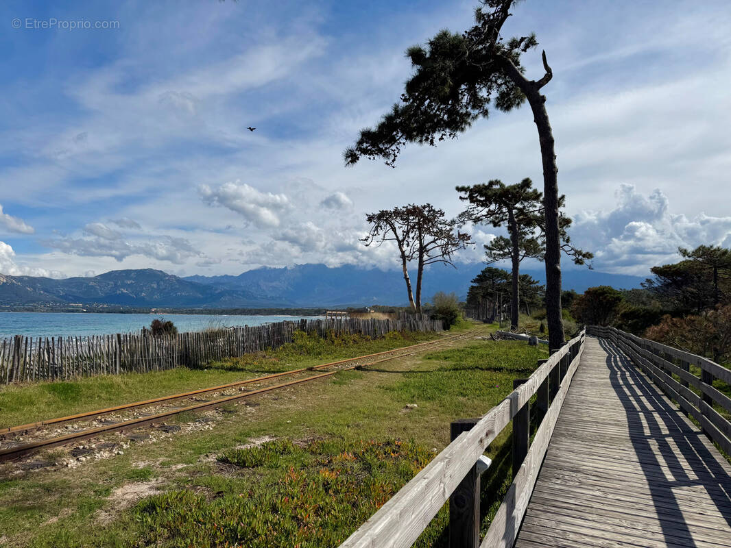 Appartement à CALVI
