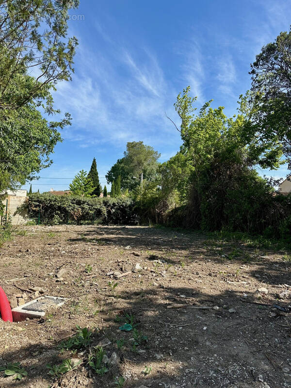 Terrain à PELISSANNE