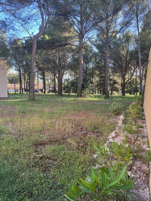 Appartement à SAUMANE-DE-VAUCLUSE