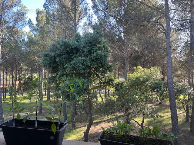 Appartement à SAUMANE-DE-VAUCLUSE