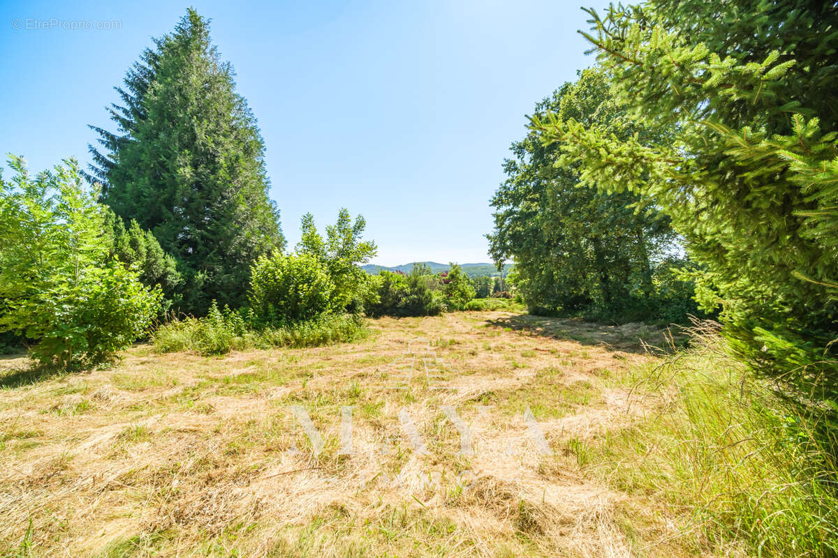 Maison à WERENTZHOUSE