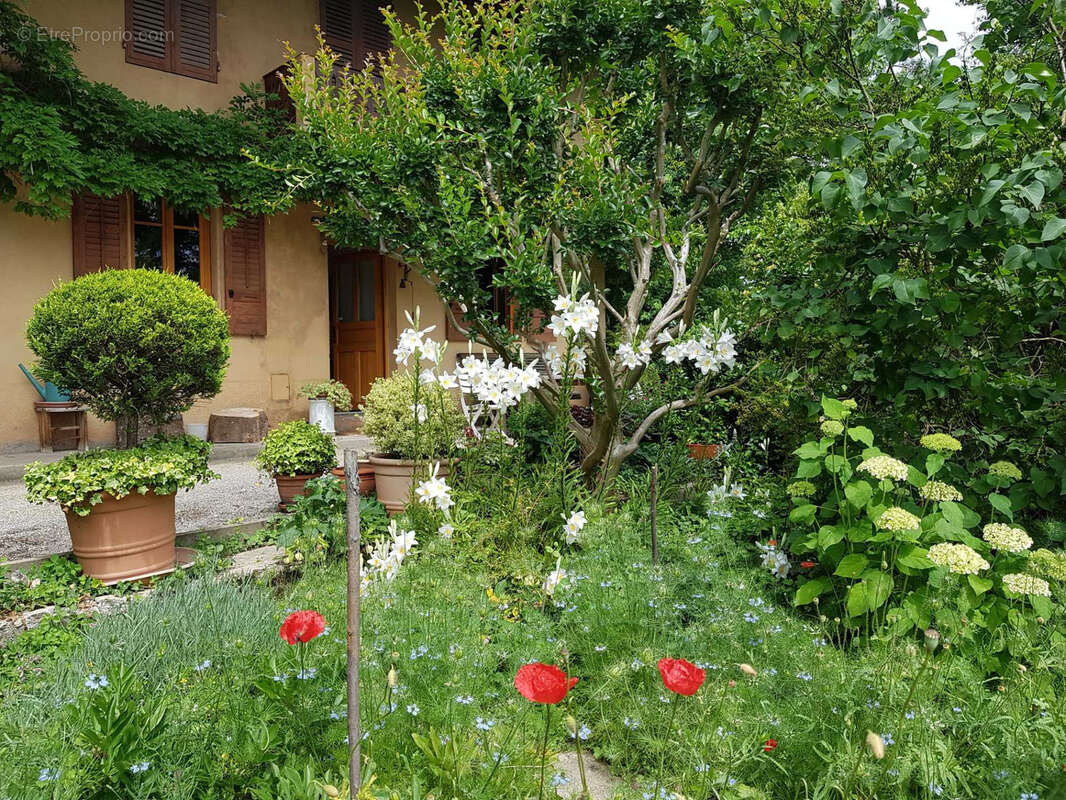 Maison à SAINT-PIERRE-D&#039;ALBIGNY