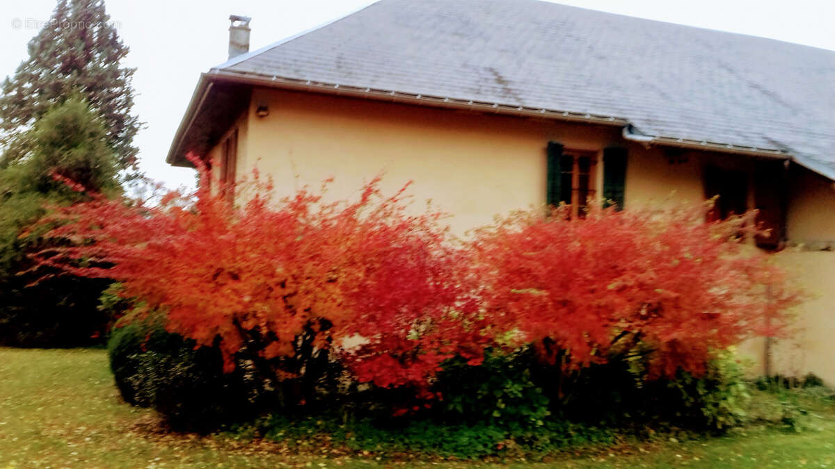 Maison à SAINT-PIERRE-D&#039;ALBIGNY