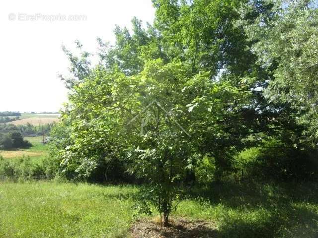 Maison à SAINT-POURCAIN-SUR-SIOULE