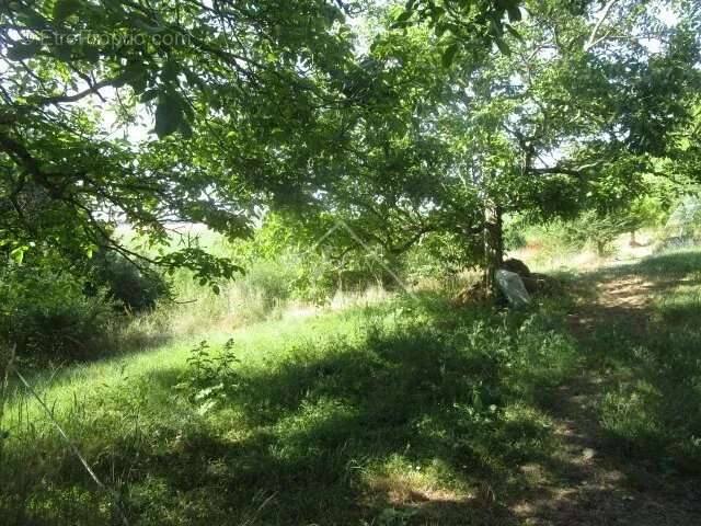 Maison à SAINT-POURCAIN-SUR-SIOULE