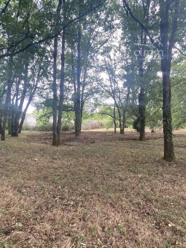 Terrain à BALLAN-MIRE