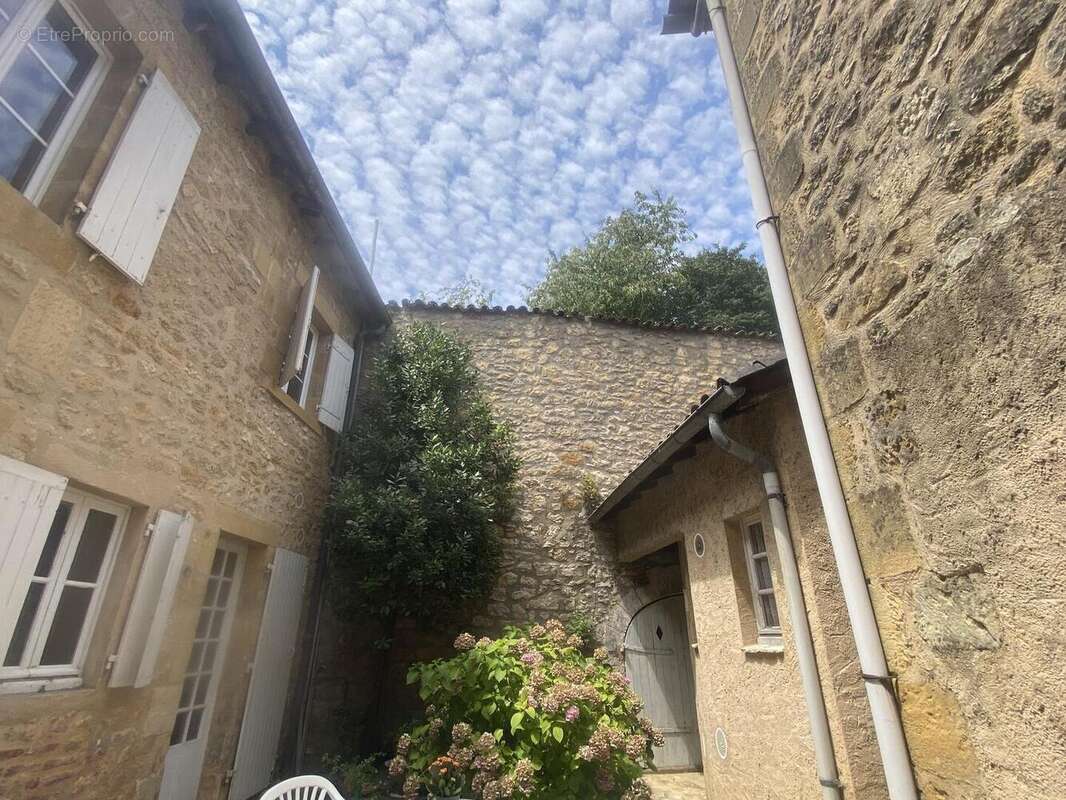 IMG8247 - Maison à SAINT-CYPRIEN