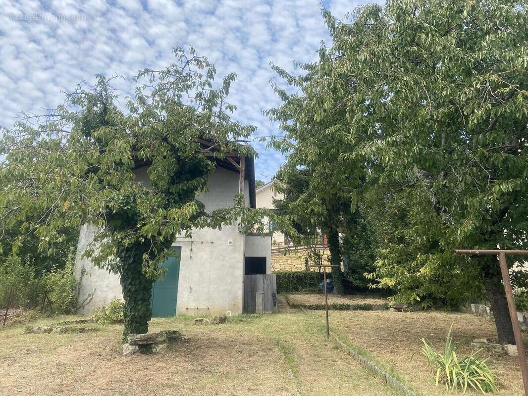 IMG8253 - Maison à SAINT-CYPRIEN