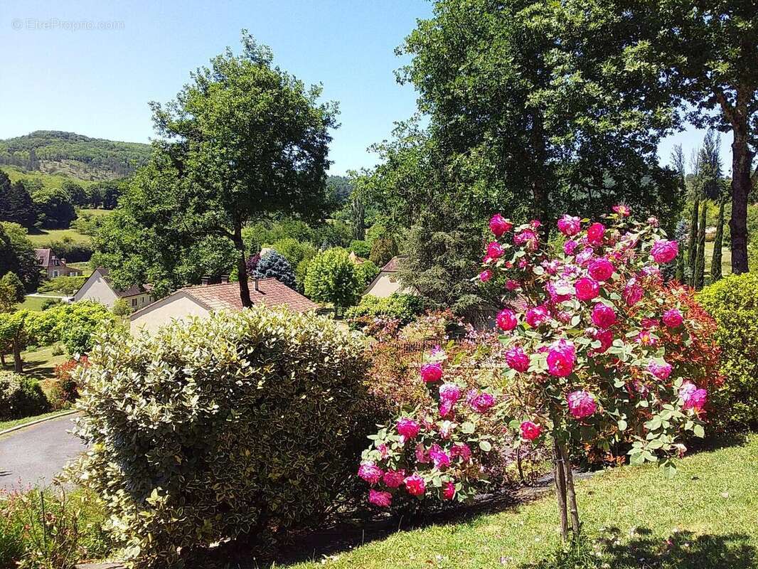 Jardin arboré - Maison à SAINT-CYPRIEN