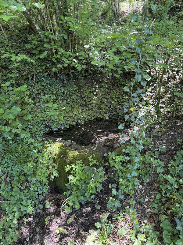 IMG3429 - Maison à CASTELS