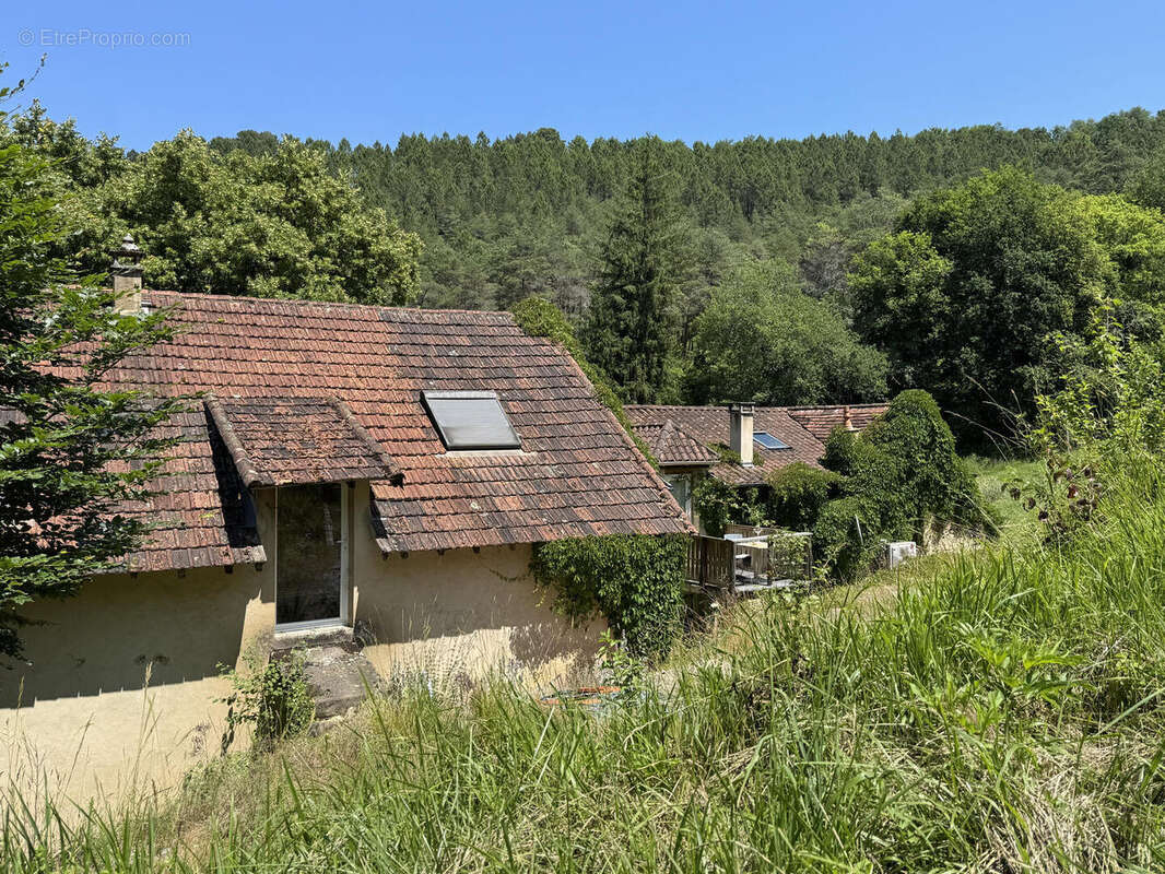 IMG3435 - Maison à CASTELS