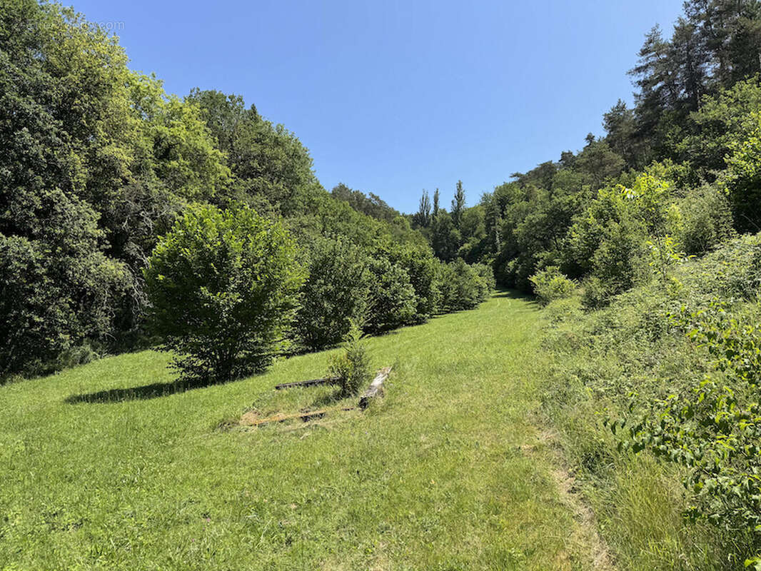 IMG3439 - Maison à CASTELS