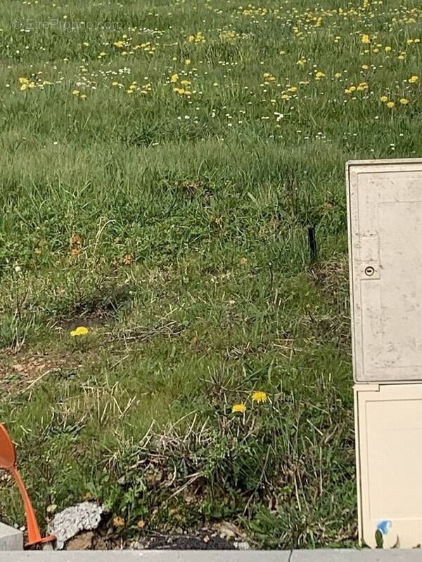 Terrain à OLONNE-SUR-MER