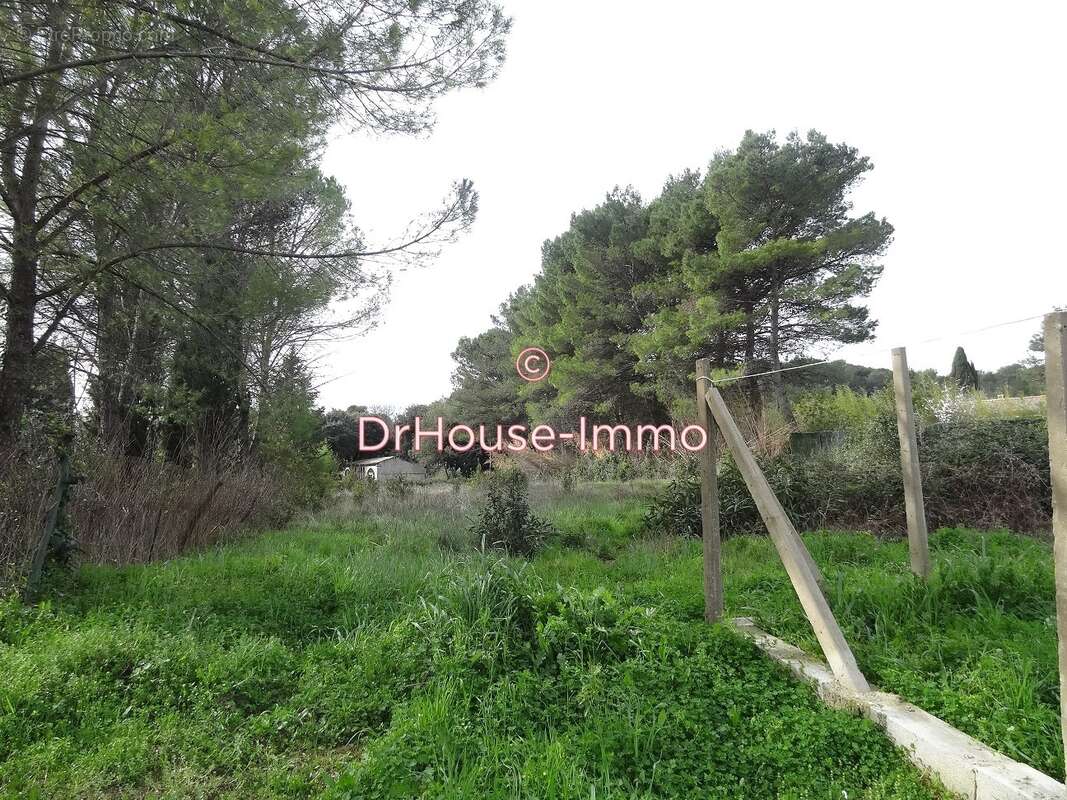 Terrain à BOISSET-ET-GAUJAC