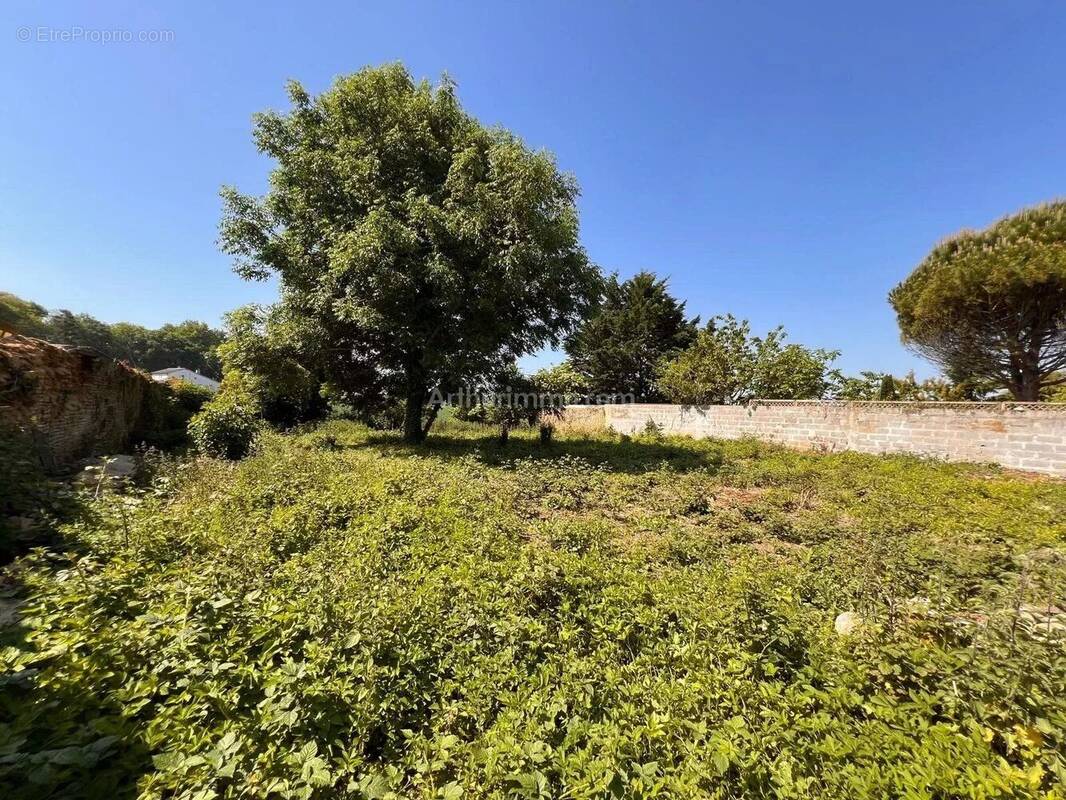 Terrain à DEMOUVILLE